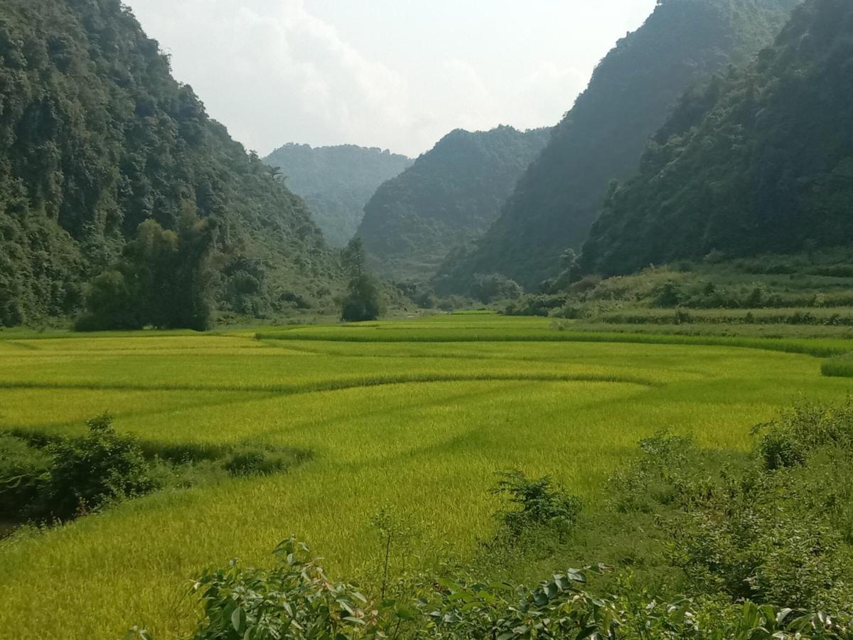 Quang Thuan Ban Gioc Homestay กาวบั่ง ภายนอก รูปภาพ